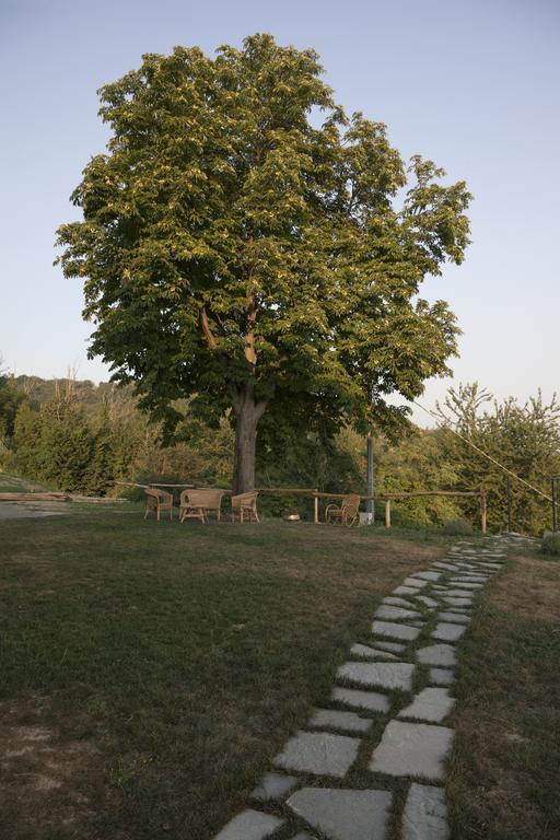 Crealto Villa Alfiano Natta Luaran gambar