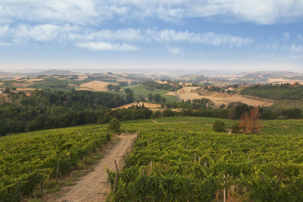 Crealto Villa Alfiano Natta Luaran gambar